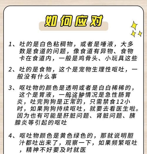 狗狗频繁呕吐应如何治疗？
