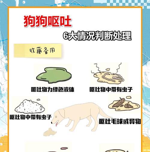 狗狗频繁呕吐应如何治疗？