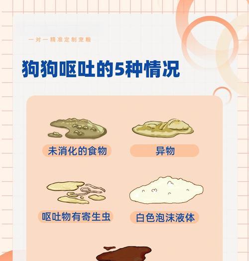 狗狗频繁呕吐应如何治疗？