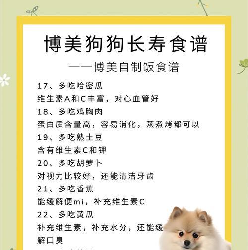博美犬幼犬的饮食建议是什么？如何选择合适的食物？