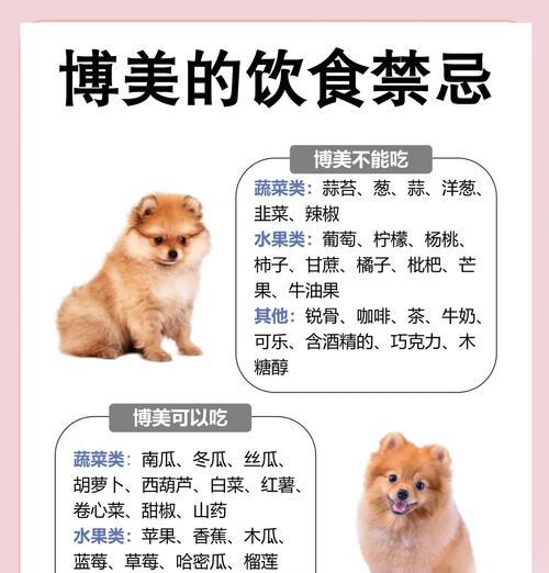 博美犬每天应吃多少狗粮？如何计算合适食量？