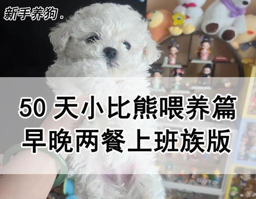 比熊幼犬6天内应该喝多少羊奶?如何正确喂养比熊幼犬? 比熊幼犬6天内应该喝多少羊奶?如何正确喂养比熊幼犬?