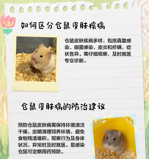 仓鼠能看见黄色吗？科学解释是什么？