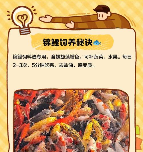 小锦鲤鱼可以喂食红虫吗?正确的喂食方法是什么? 小锦鲤鱼可以喂食红虫吗?正确的喂食方法是什么?