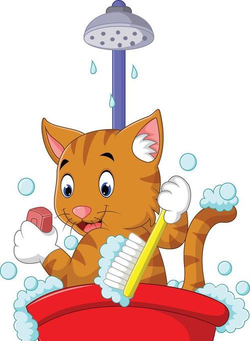 猫咪洗澡必备攻略（宠物猫洗澡技巧大揭秘）