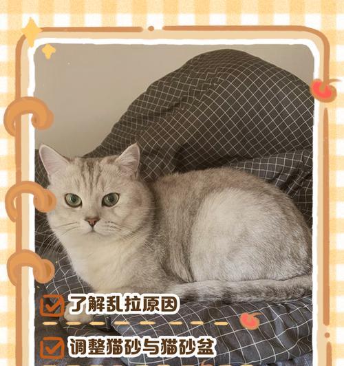 小猫乱拉屎怎么办?如何训练小猫使用猫砂? 小猫乱拉屎怎么办?如何训练小猫使用猫砂?