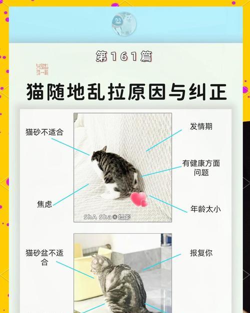 小猫乱拉屎怎么办?如何训练小猫使用猫砂? 小猫乱拉屎怎么办?如何训练小猫使用猫砂?