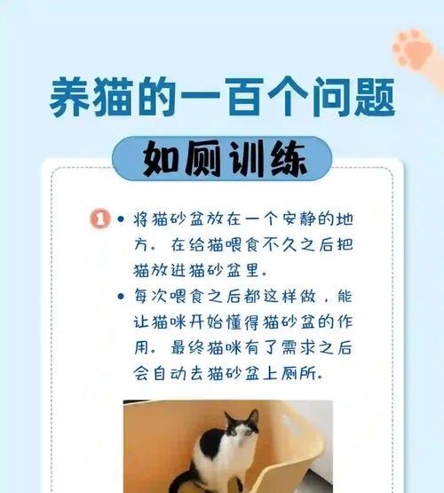 小猫乱拉屎怎么办?如何训练小猫使用猫砂? 小猫乱拉屎怎么办?如何训练小猫使用猫砂?
