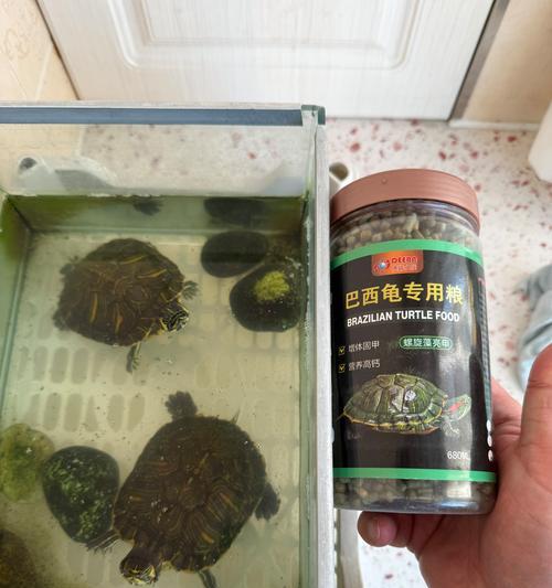 巴西龟的日常饮食应该包括哪些食物? 巴西龟的日常饮食应该包括哪些食物?