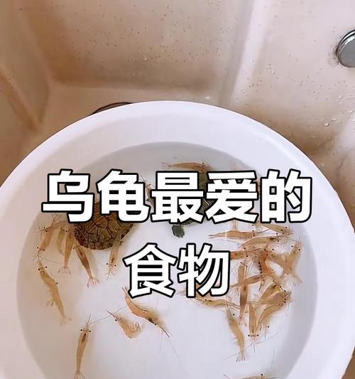 巴西龟的日常饮食应该包括哪些食物? 巴西龟的日常饮食应该包括哪些食物?