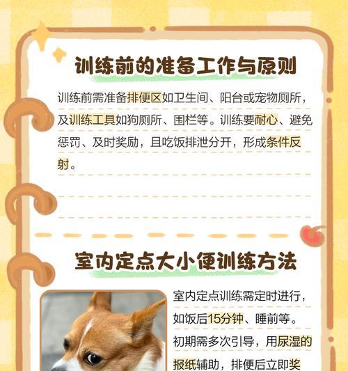 如何为秋田犬选择适合的狗粮（了解秋田犬的饮食需求和选购技巧）