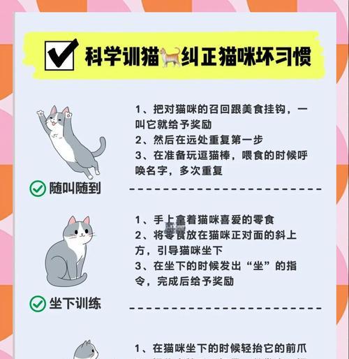 傲娇小猫如何驯服？有哪些有效方法？