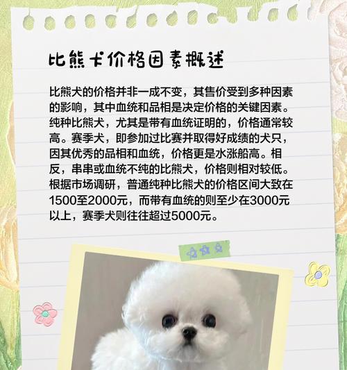 比熊犬的价格是多少?购买时应注意哪些问题? 比熊犬的价格是多少?购买时应注意哪些问题?