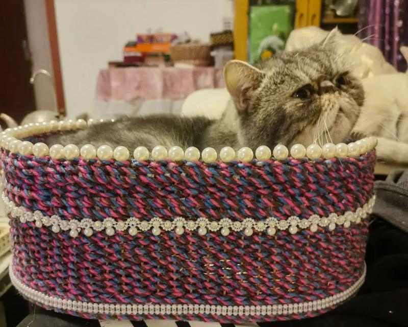 如何折叠小猫纸筐?小猫纸筐的折法步骤是什么? 如何折叠小猫纸筐?小猫纸筐的折法步骤是什么?