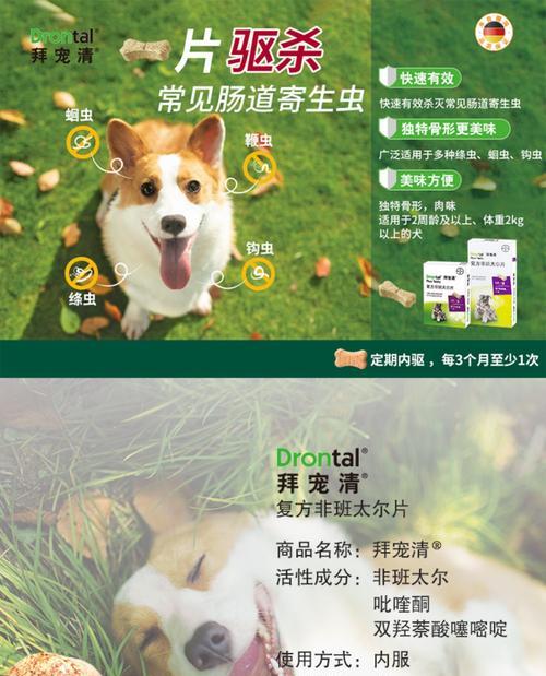 小狗拉稀腥臭，这些药可救急（缓解小狗腥臭拉稀的有效药物）