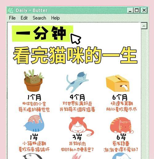 小猫喂养指南——5天小猫晚上喂几次（如何正确喂养小猫）