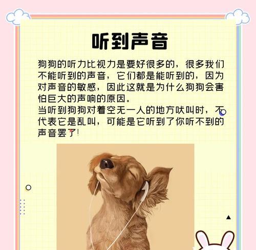 狗狗对假狗狗吠叫的原因是什么？