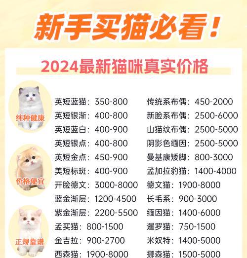 宠物店公猫配种费用是多少？如何选择合适的猫种？