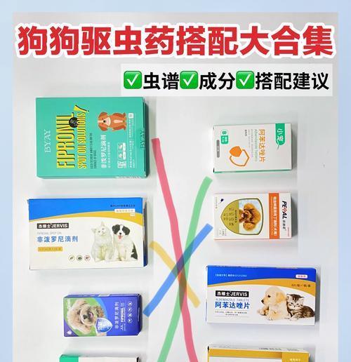 狗狗需要哪种驱虫药?如何正确给狗狗进行驱虫? 狗狗需要哪种驱虫药?如何正确给狗狗进行驱虫?
