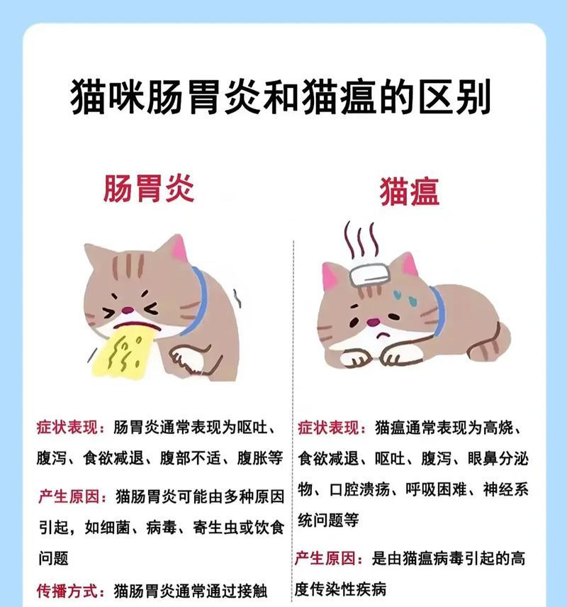 猫为什么会有口臭(了解猫咪口臭的原因和预防方法) 猫为什么会有口臭(了解猫咪口臭的原因和预防方法)
