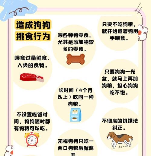 给陌生狗狗喂食应该选择什么? 给陌生狗狗喂食应该选择什么?