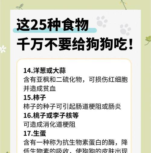 给陌生狗狗喂食应该选择什么? 给陌生狗狗喂食应该选择什么?