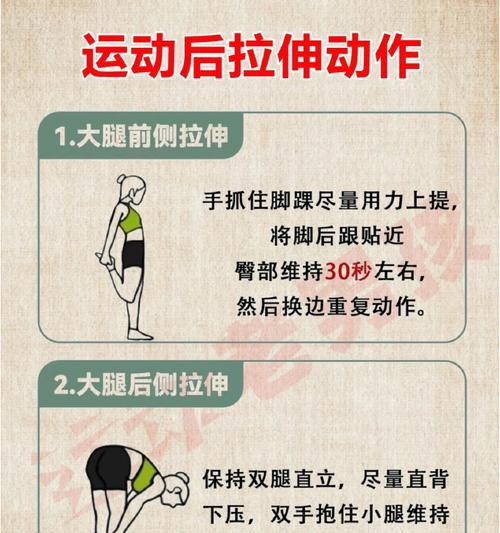 正确的宠物训练方法（从基础开始）