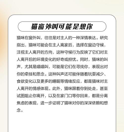 小猫弹窗标志是什么意思？如何处理小猫的弹窗问题？
