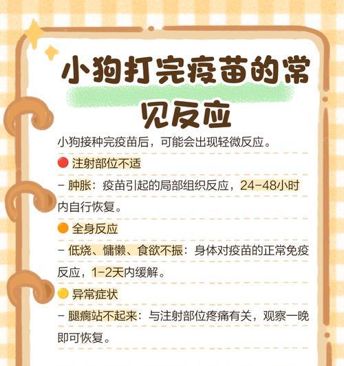 狗狗被打后会有哪些反应? 狗狗被打后会有哪些反应?