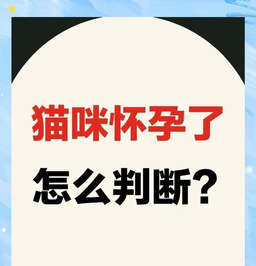 怀孕猫咪喘气怎么办（宠物猫咪孕期喘气的原因）