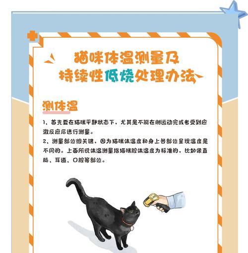 如何正确测量宠物猫的体温（猫咪体温查测详解）