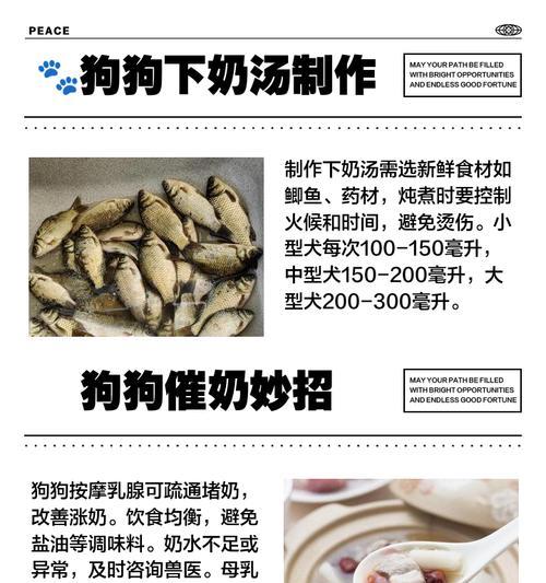 狗狗催奶的食谱有哪些？哪种食物效果最好？