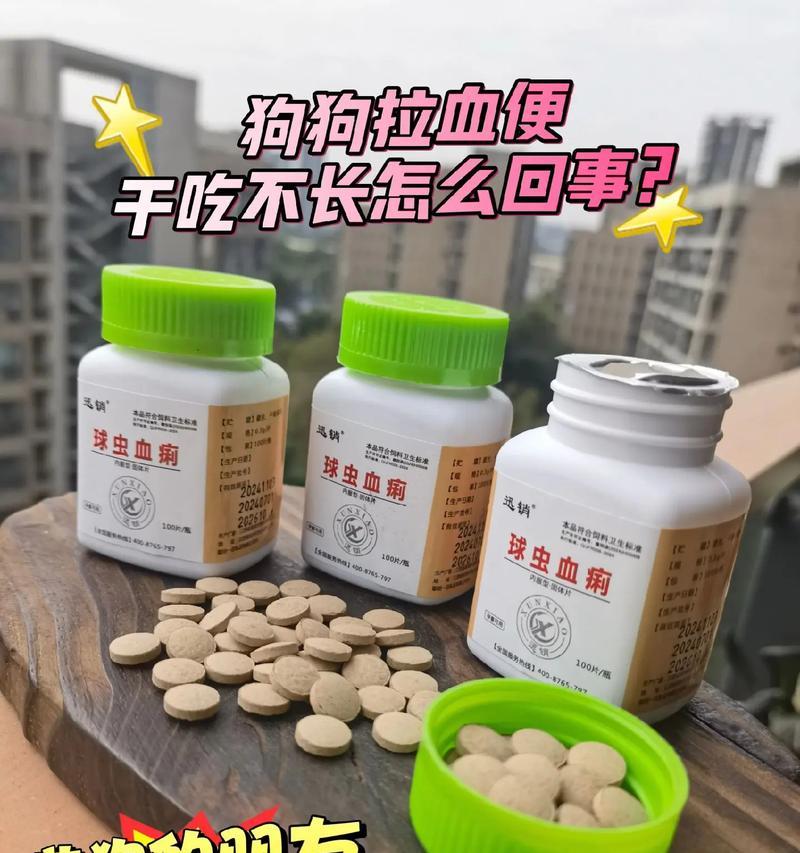 狗狗球虫病吃什么？治疗狗狗球虫病的有效食物有哪些？