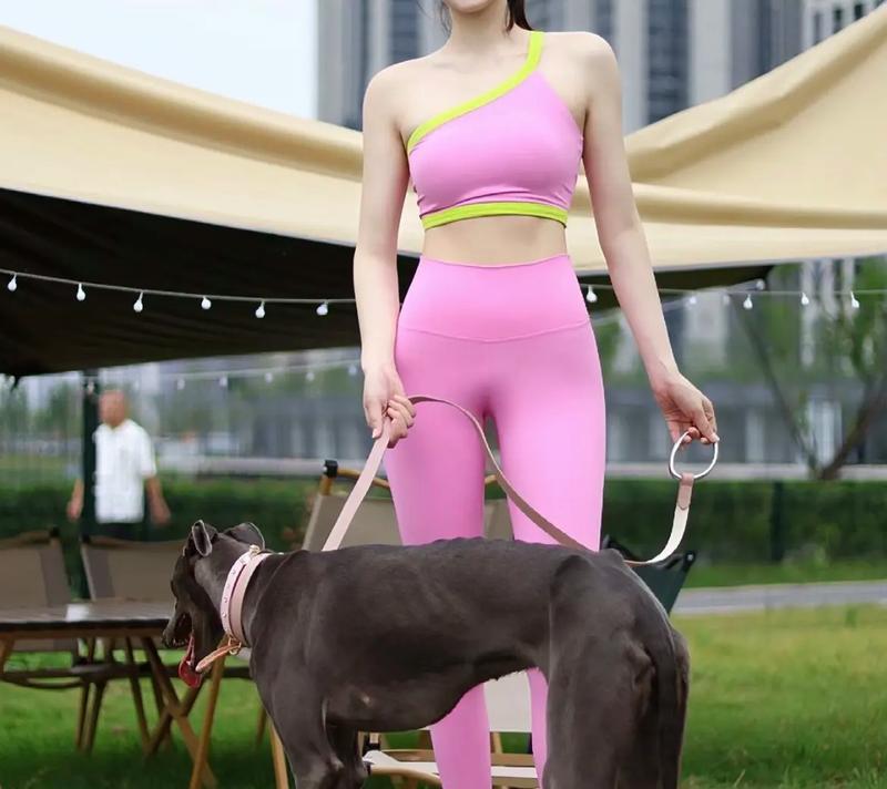 格力犬巅峰女孩儿(以宠物为主) 格力犬巅峰女孩儿(以宠物为主)