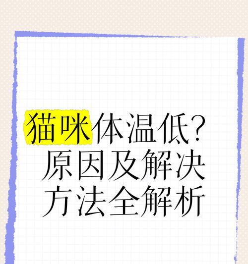 如何正确测量猫咪的体温(猫咪体温低的原因及应对方法) 如何正确测量猫咪的体温(猫咪体温低的原因及应对方法)
