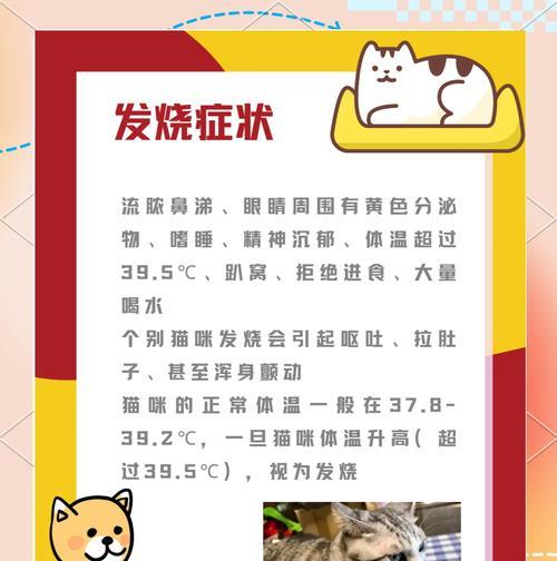 如何正确测量猫咪的体温(猫咪体温低的原因及应对方法) 如何正确测量猫咪的体温(猫咪体温低的原因及应对方法)