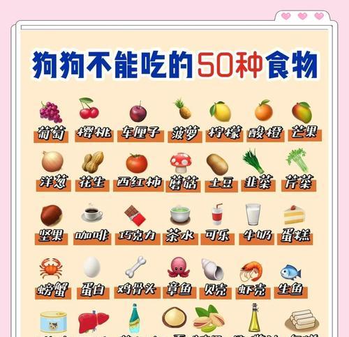打造健康宠物饮食的秘籍(以狗狗食物为主) 打造健康宠物饮食的秘籍(以狗狗食物为主)