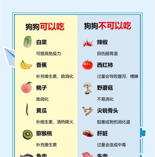 打造健康宠物饮食的秘籍(以狗狗食物为主) 打造健康宠物饮食的秘籍(以狗狗食物为主)