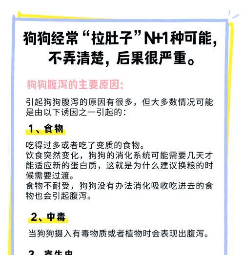 狗狗拉肚子时如何正确喂食？有哪些食物是应该避免的？