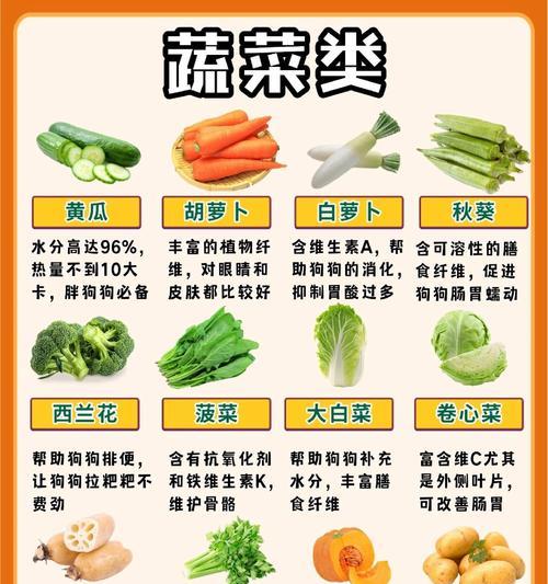 狗狗如何降温？适合吃哪些食物？