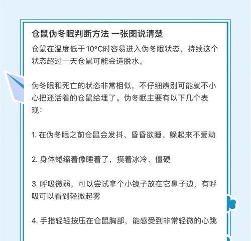 购买仓鼠时应该注意什么？如何确保安全？