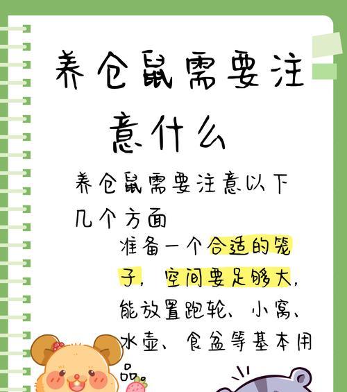 购买仓鼠时应该注意什么？如何确保安全？
