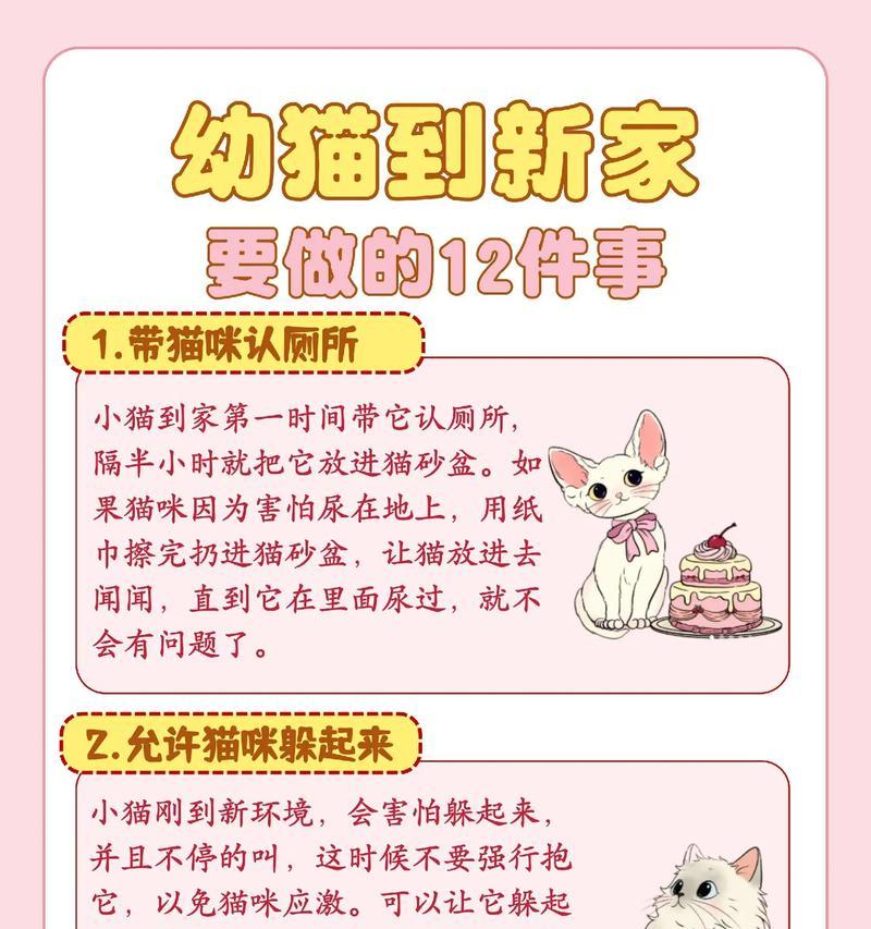 照顾母猫和小猫，确保宠物健康成长（以猫生小猫要注意什么）