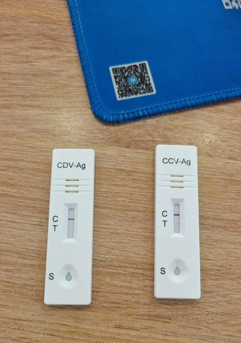 宠物犬细小病毒检测（保护宠物健康）