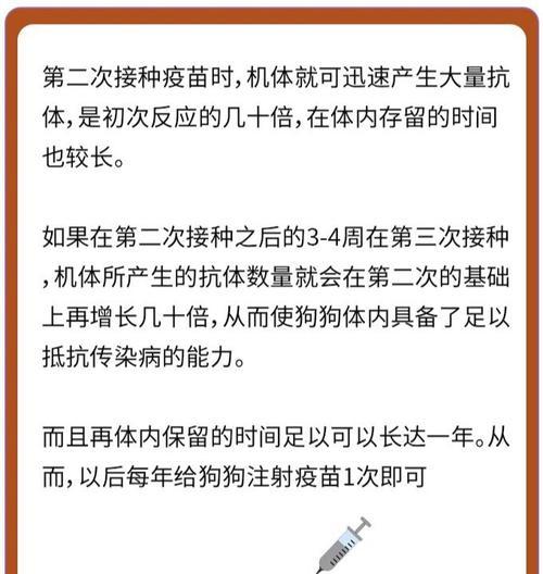 狗狗为什么要60天后才能打疫苗（探究狗狗打疫苗的时间要求与原因）