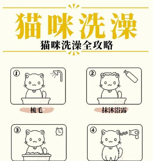 两个月大的猫咪能洗澡吗（宠物猫洗澡注意事项及步骤）