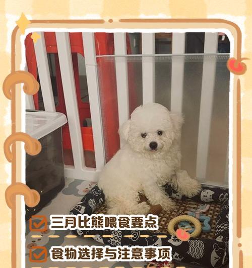一个半月大的比熊幼犬的食量应该是多少？