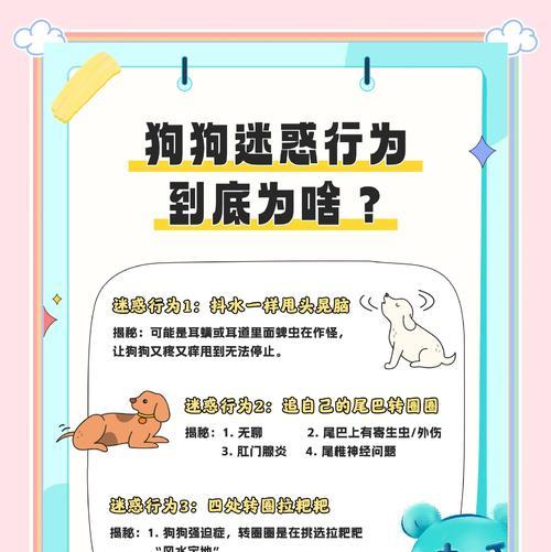 狗狗频繁甩头的原因是什么？