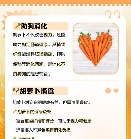 狗狗吃胡萝卜有哪些好处？