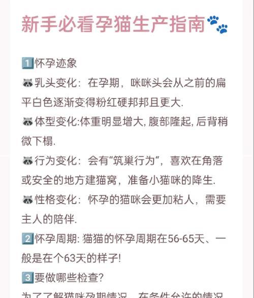 小猫怀孕期间需要注意什么?有哪些护理要点? 小猫怀孕期间需要注意什么?有哪些护理要点?